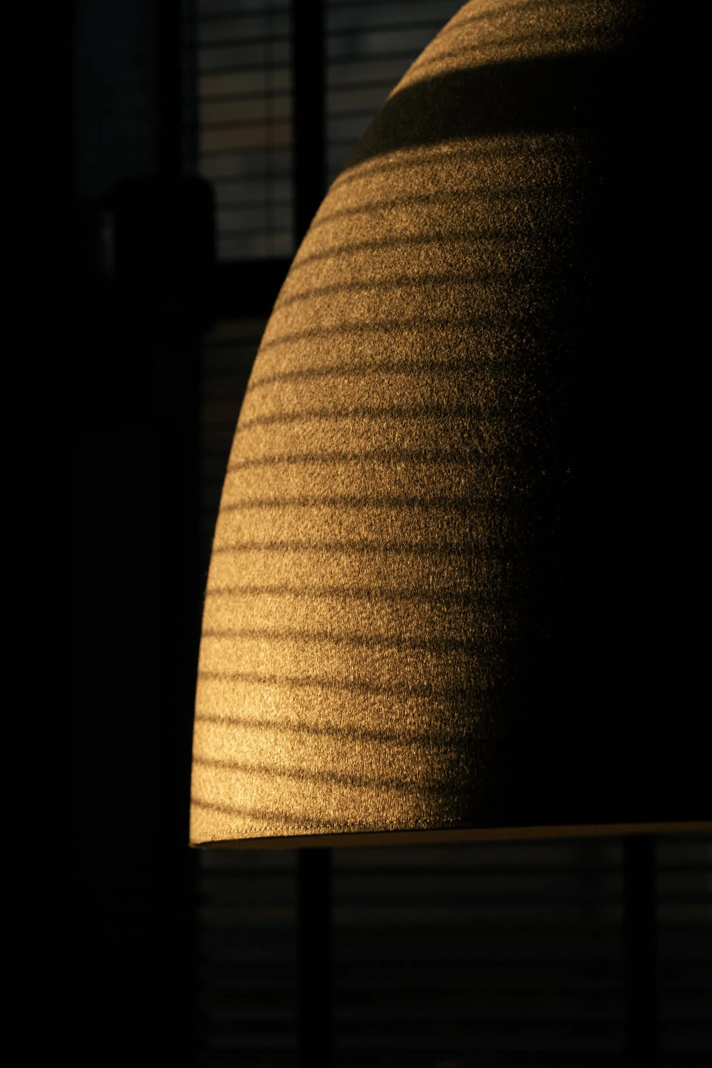 The dining room at Cardinal, Edinburgh